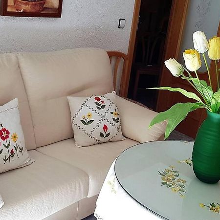 Apartamento Armonía:céntrico, tranquilo y acogedor Elda Exterior foto