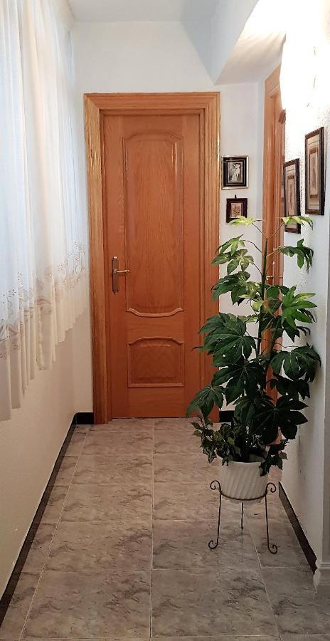 Apartamento Armonía:céntrico, tranquilo y acogedor Elda Exterior foto